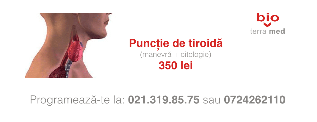 15168638_1797928527148203_5688306341997102884_o.png