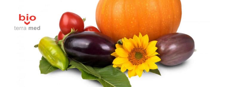Rolul alimentatiei de toamna in sanatatea glandei tiroide si a oaselor. Dr. Andreea Theodoru recomanda
