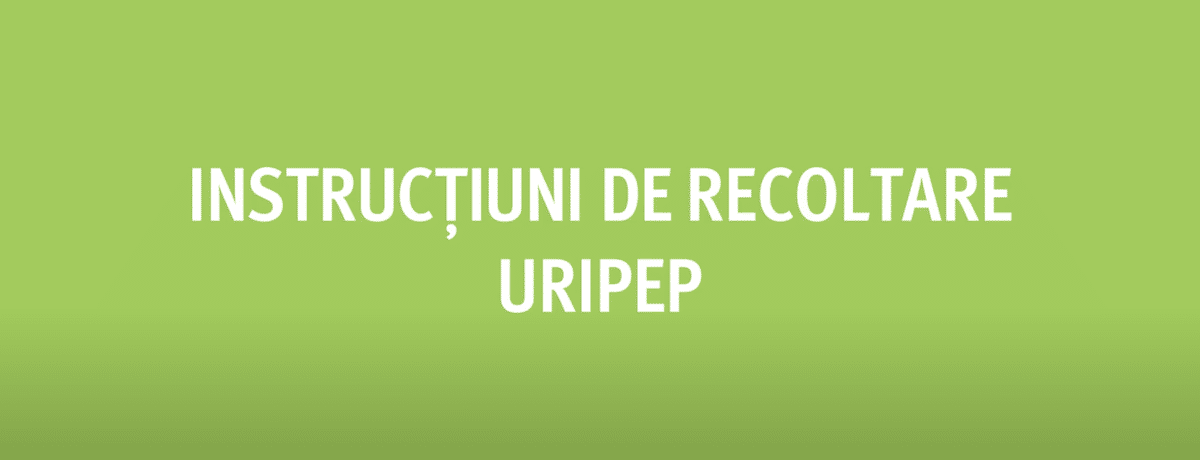 Testul UriPep - tutorial de recoltare