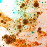 Testul Microbolom 1.0 la Bio Terra Med