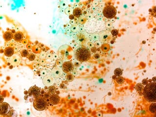 Testul Microbolom 1.0 la Bio Terra Med