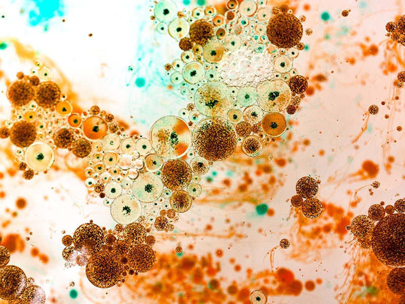Testul Microbolom 1.0 la Bio Terra Med